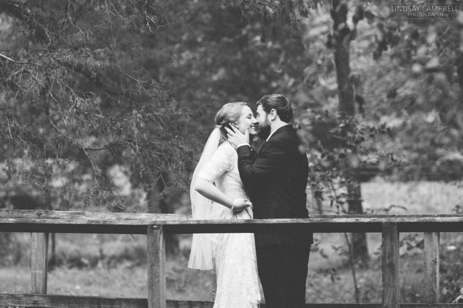 Taylor-and-Andrew-Nashville-Wooded-Wedding-Cedars-of-Lebanon-State-Park-Wedding-Photos_0035 Taylor + Andrew's Geode-Themed Lodge Wedding in the Woods