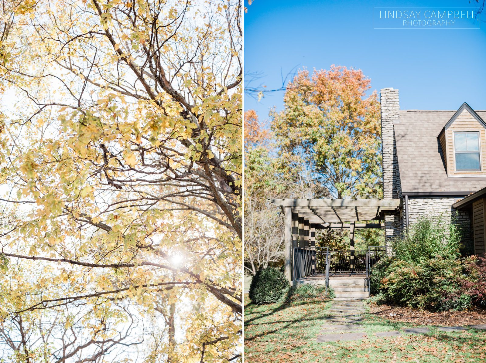 Light-and-Airy-Franklin-Wedding-Photographer_0003 An Intimate, Cozy Fall Wedding at Arrington Vineyards