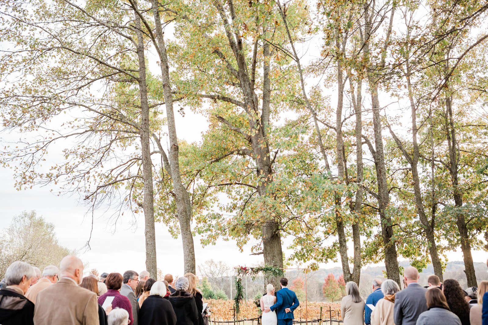 Light-and-Airy-Franklin-Wedding-Photographer_0049 An Intimate, Cozy Fall Wedding at Arrington Vineyards