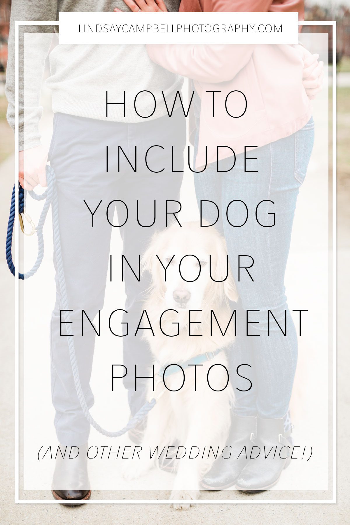 include-your-dog-in-your-engagement-photos How to Include Your Dog in Your Engagement Photos